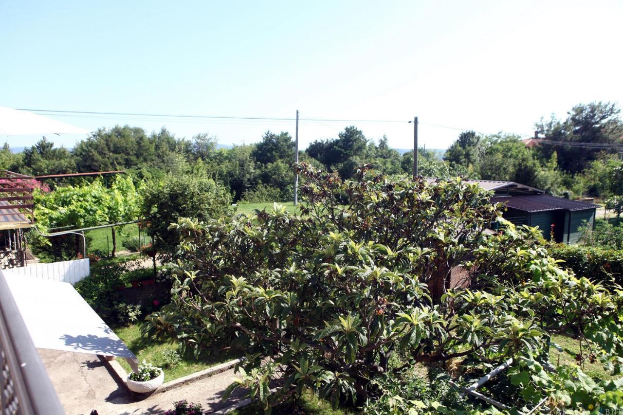 Pure Nature Coastal Apartment Vlasta 安卡兰 外观 照片